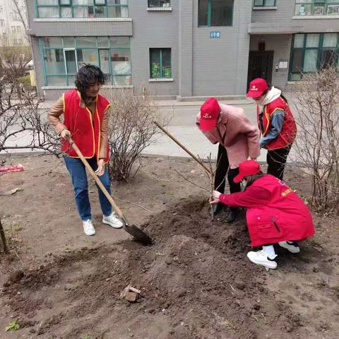 “桃花要趁东风开，幸福要靠劳动来”五一劳动节志愿服务活动