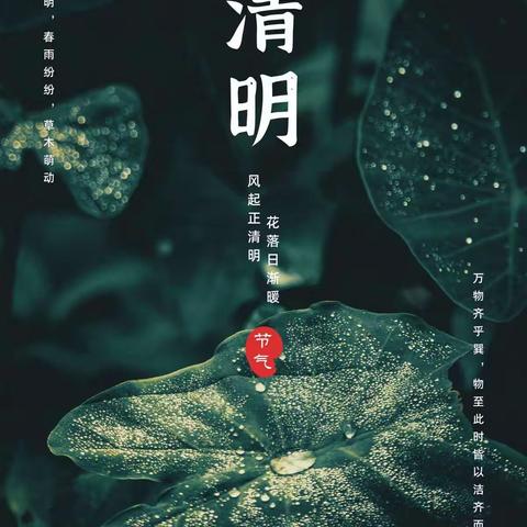 清明时节话清明——小博士幼儿园清明主题活动