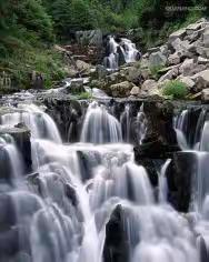 瑞尼尔山国家公园(Mount Rainier National Park)