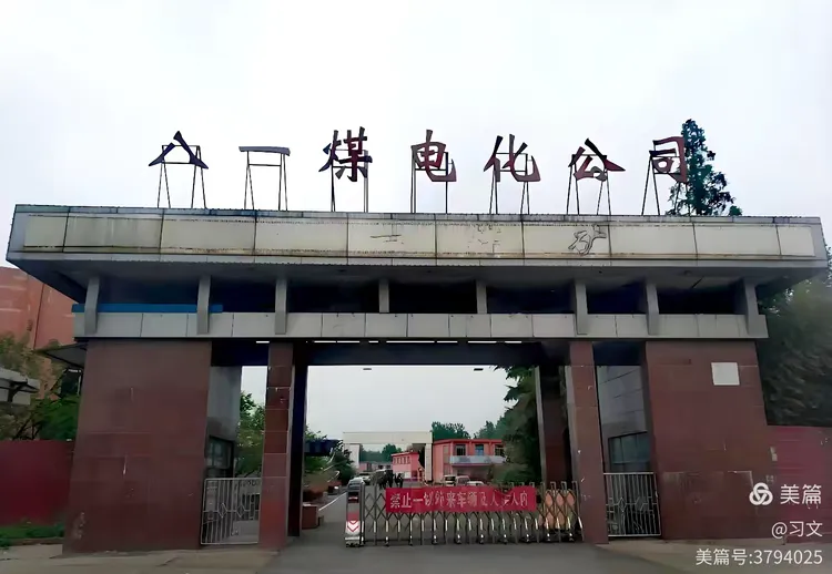 张成泽的艺术之路② | 山高水长有时尽，唯有师恩日月长