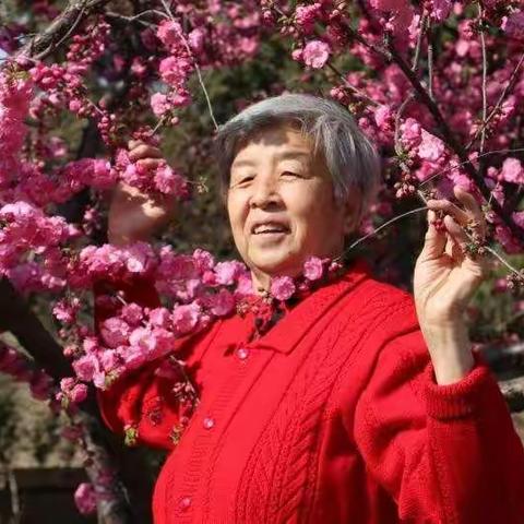 一日游