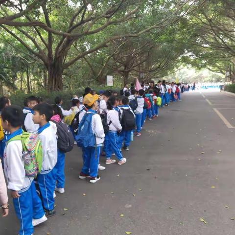 释放自我   多彩童年——遂城第一小学2019年研学旅行活动