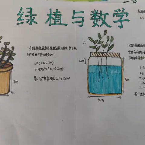 绿植中的数学之美
