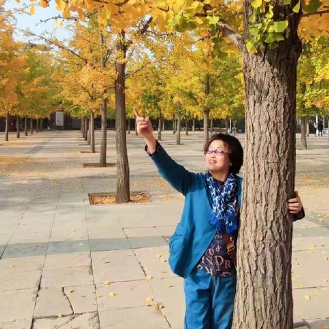 秋去冬来——感悟一次这样的告白