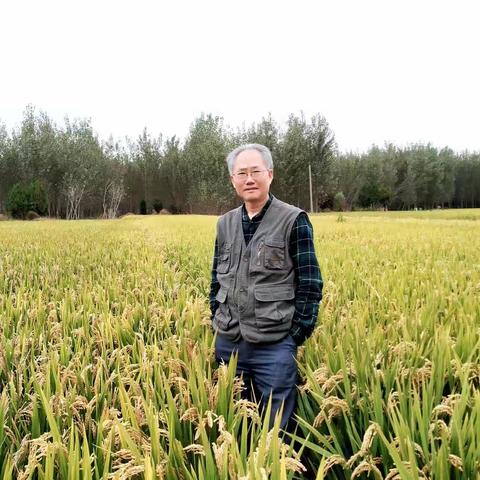 醉美诗词、最美稻田、最美海陀山
