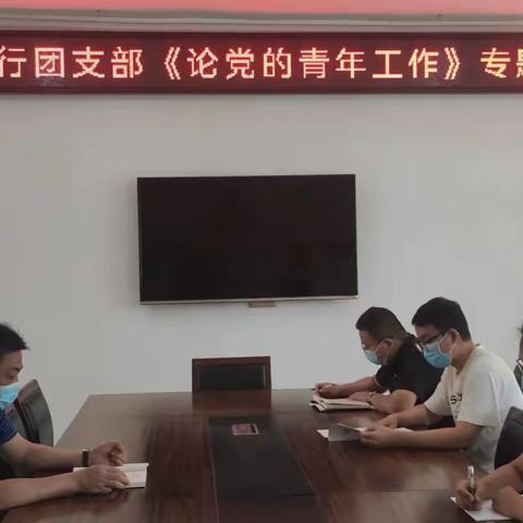 辉县市支行团支部组织召开《论党的青年工作》专题学习会