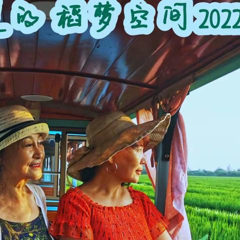 仲夏的稻梦空间 2022 07 31