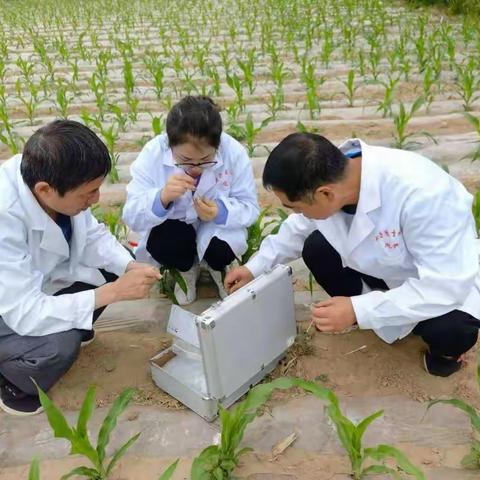 志丹县种子管理站党支部开展党史学习教育“我为群众办实事”主题实践活动