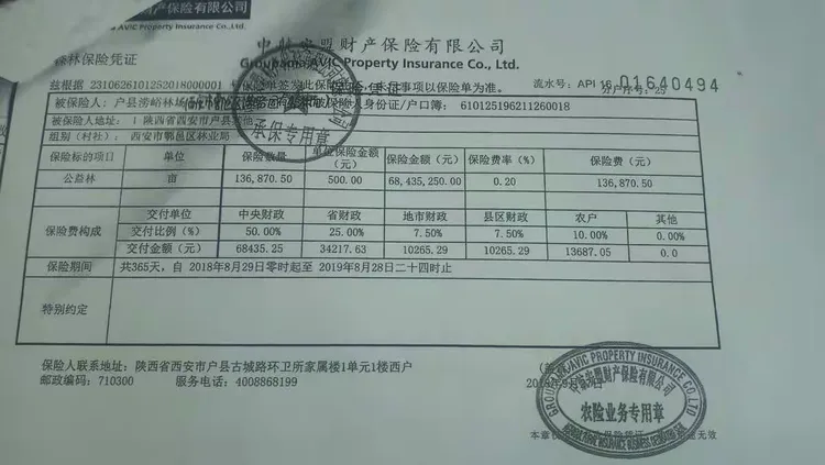 中航安盟财产保险有限公司对区林业局森林资源理赔工作进行时