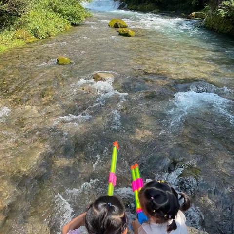 寻找家乡夏日之美 高启惠