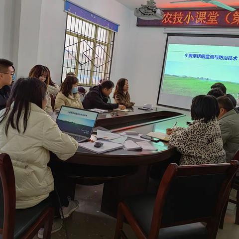 农技小课堂   发挥大作用（农技小课堂第三期  一小麦条锈病监测与防治技术）