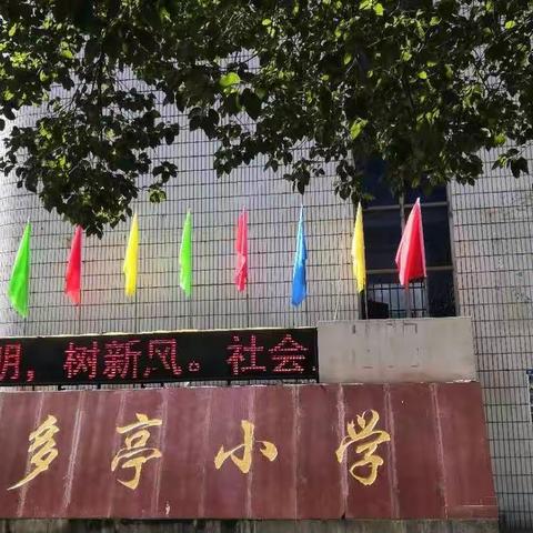 三多亭小学疫情期间停课不停学，成长不止步