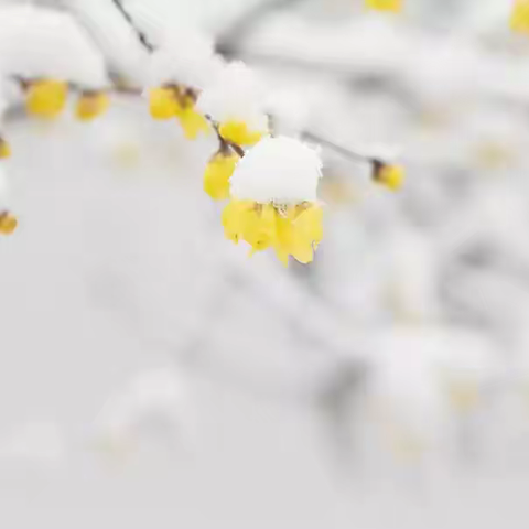 巧搭妙配   网课不掉队——南乐县求实小学二年级数学特色作业展示