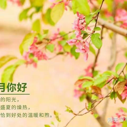 你好！5月的美好小时光