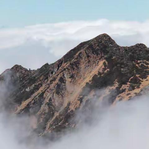 苍山如海