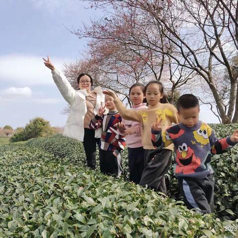 2023年春节樱花树下的约定