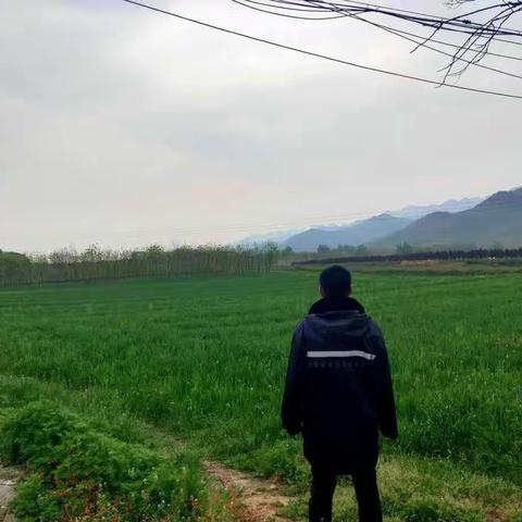五台街办生态环境网格化工作日报