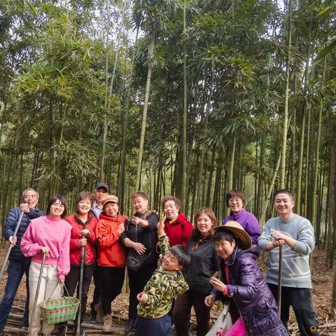 到余杭区瓶窑镇树根桥自然村挖笋，品尝土野特色美食