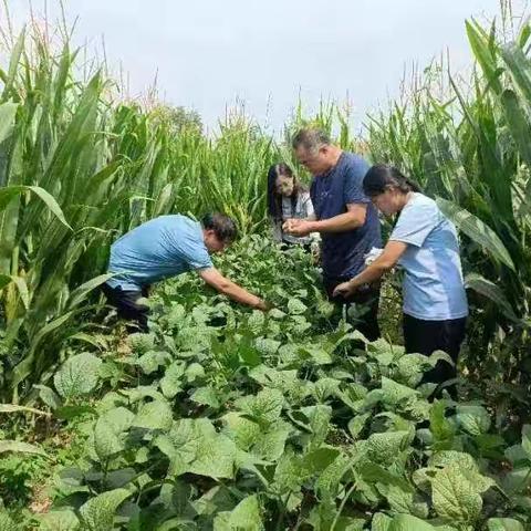 种子站一周工作（8.8-8.12）