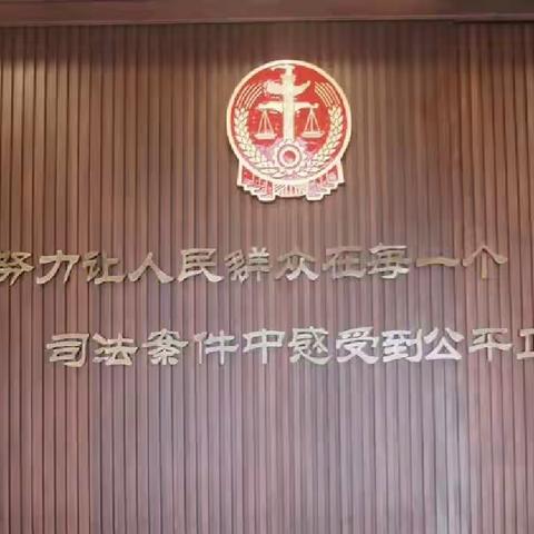 走进“法院课堂”  植根法治梦想———青春思政研学社走进人民法院参观研学活动纪实