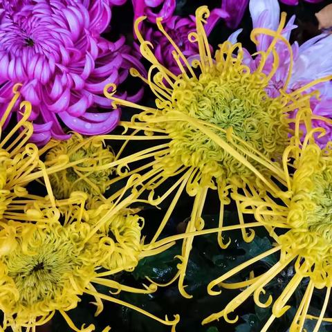 离校不离教与学——开封市西柳林小学线上教学工作小结