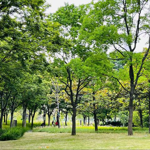 2022.5.29雨后的苏州河步道