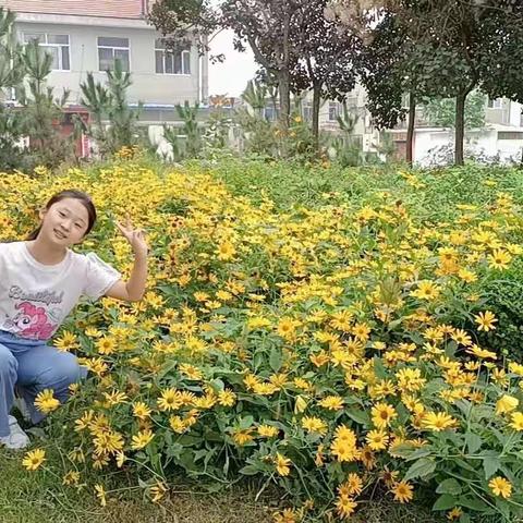 孙艺萌宝贝诚意班成长印记