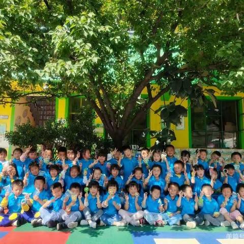 西冲幼儿园小三班下学期期末教学汇报