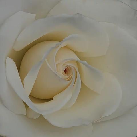 平平安安的美篇