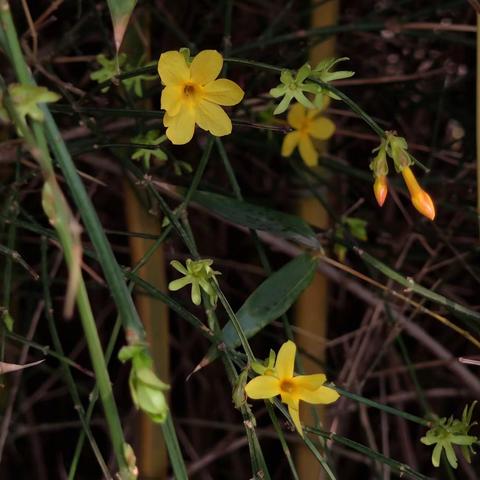 平平安安的美篇