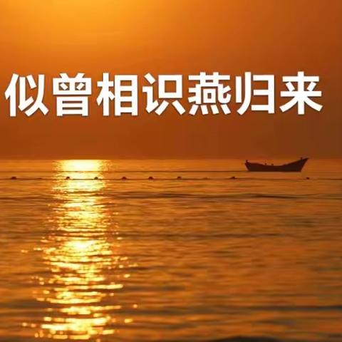 西望长安，彩霞满天——相识（叙事体）