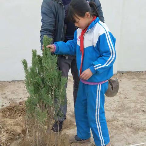 让绿色的希望从校园萌芽