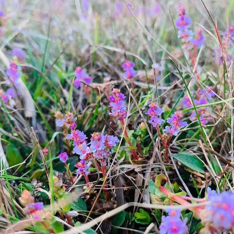 中坝美景。 肖强拍摄