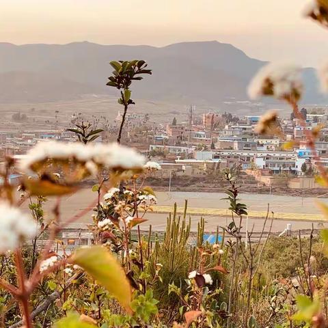 卸下你的累（肖强转载网络）