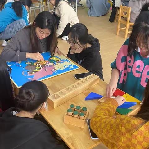 蒙台梭利教具——插座圆柱体、感官教育拼图