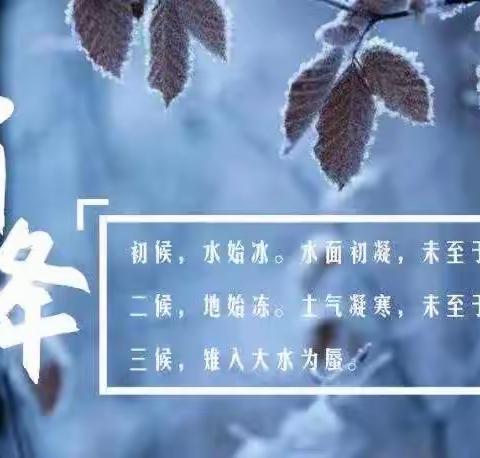 共赴美好时光 红苹果幼儿园“迎霜降”主题教育活动