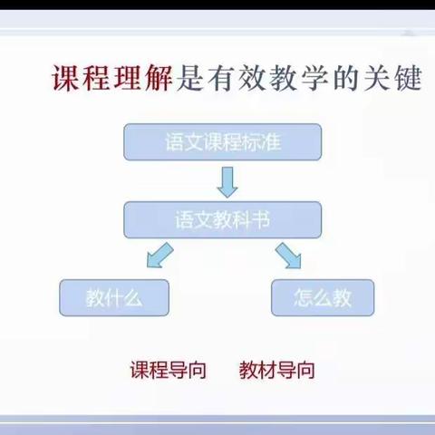 找准支点，寻找新课标下的语文教学方向