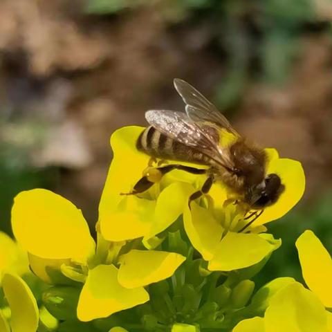 【强基兴教 质量提升】爱在春天里