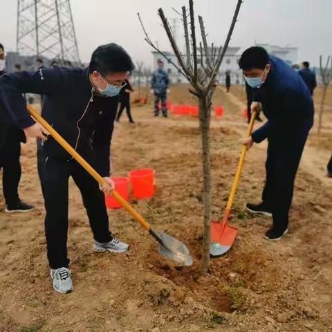 植树造林美化人居环境