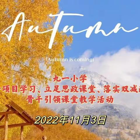 “聚焦项目化    共话求提升”