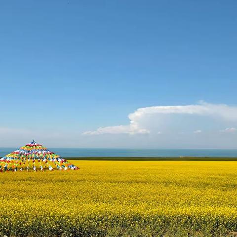 回顾环青海湖骑行