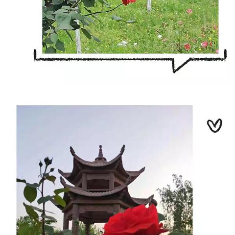 运动点燃激情，校园别样风采——星海小学2021年第七届春季运动会