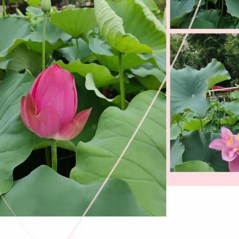 三合物业八月份第1周工作周报