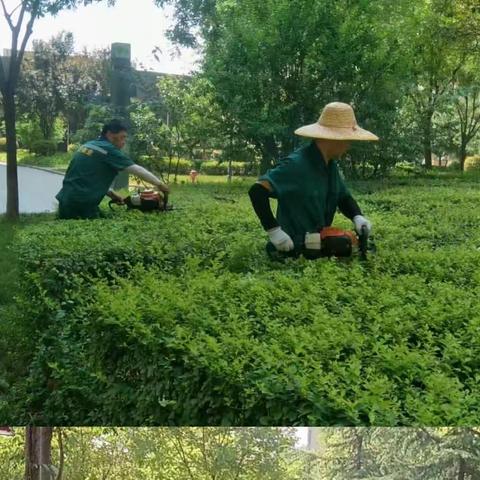 三合物业2023年七月第1周物业工作周报