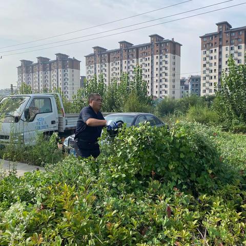 章丘区静通停车管理有限公司组织职工开展除草活动