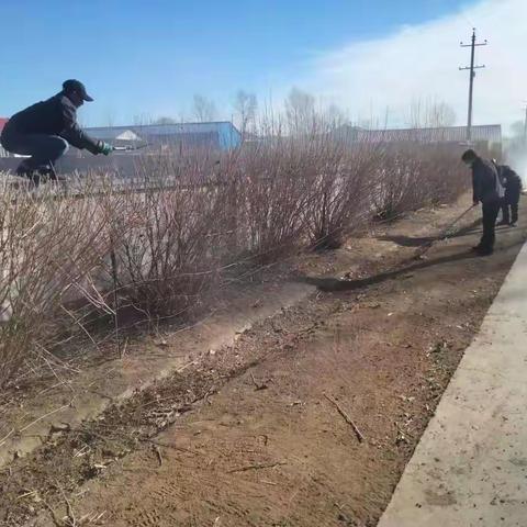 巴场三队环境卫生整治工作进行时