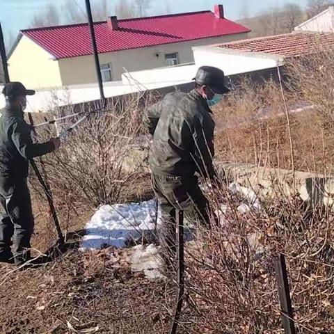 巴达尔胡农场三队环境卫生整治进行时