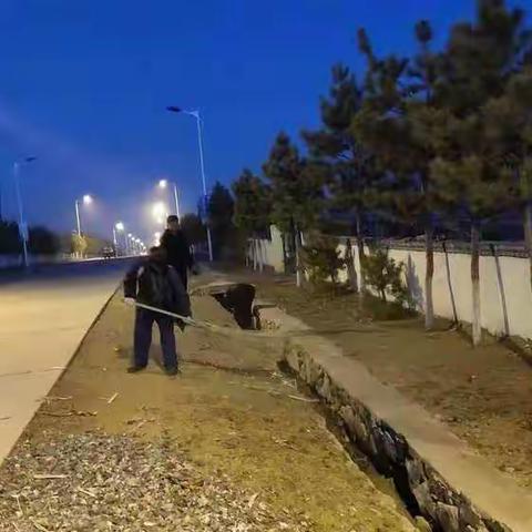 环境卫生整治