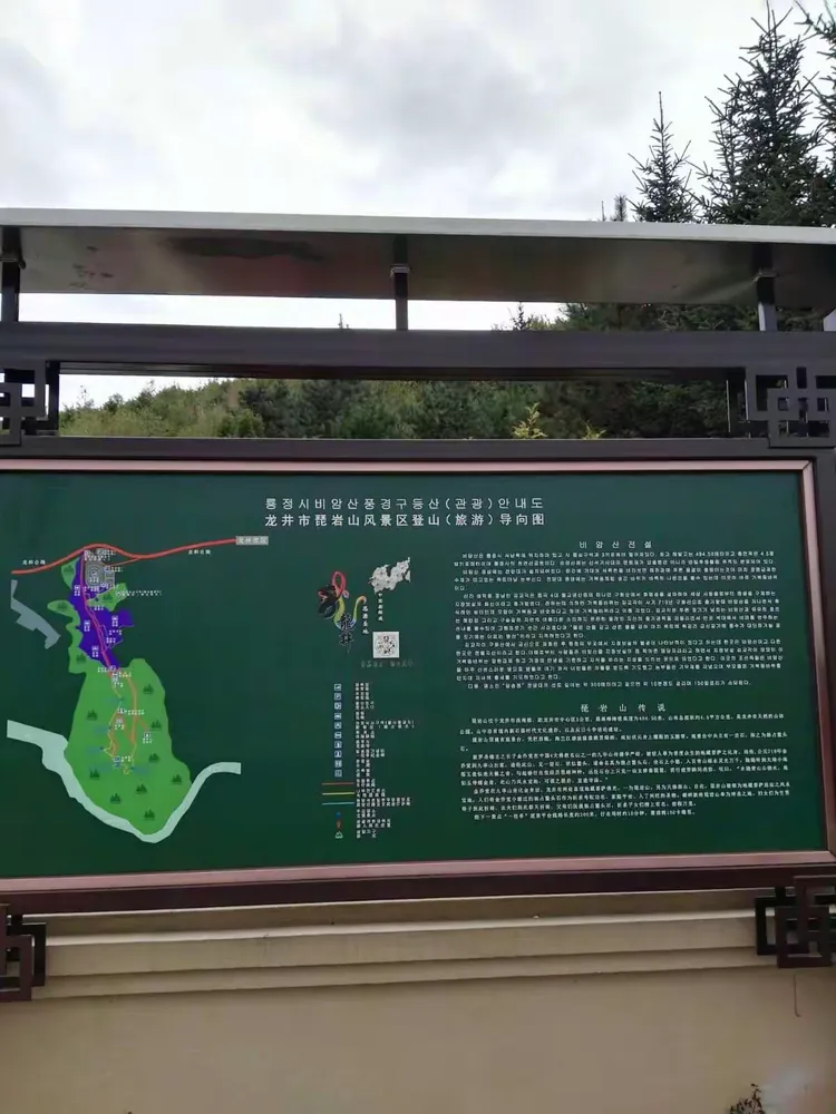 龙井琵岩山花海,美不胜收