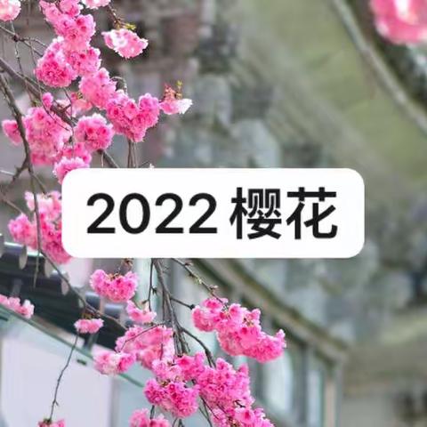 花事2022